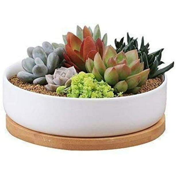 Ceramic Flower Pot White Modern rectangle Design Succulent Plant Bamboo Tray NEW